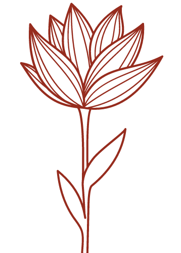 Mindful Wellbeing Psychology